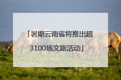 暑期云南省将推出超3100场文旅活动