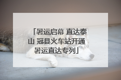 暑运启幕 直达泰山 冠县火车站开通暑运直达专列