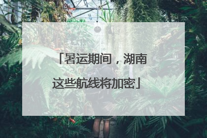 暑运期间，湖南这些航线将加密