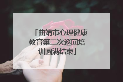 曲靖市心理健康教育第二次巡回培训圆满结束