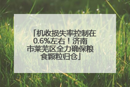 机收损失率控制在0.6%左右！济南市莱芜区全力确保粮食颗粒归仓