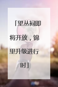 望丛祠即将开放，锦里升级进行时