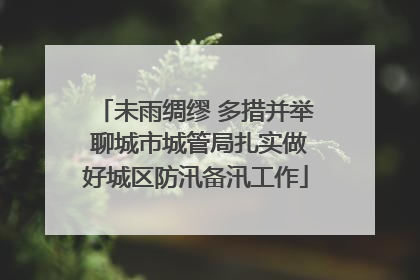 未雨绸缪 多措并举 聊城市城管局扎实做好城区防汛备汛工作