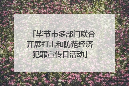 毕节市多部门联合开展打击和防范经济犯罪宣传日活动
