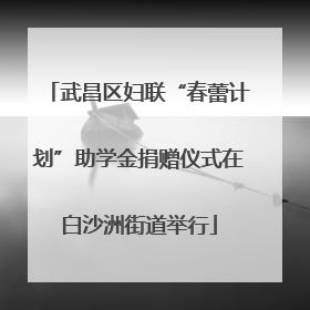 武昌区妇联“春蕾计划”助学金捐赠仪式在白沙洲街道举行