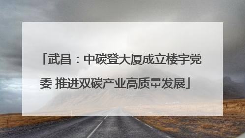 武昌：中碳登大厦成立楼宇党委 推进双碳产业高质量发展