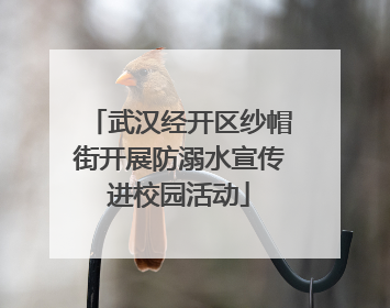 武汉经开区纱帽街开展防溺水宣传进校园活动