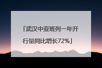 武汉中亚班列一年开行量同比增长72%