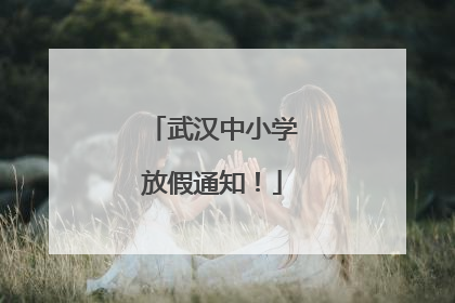 武汉中小学放假通知！