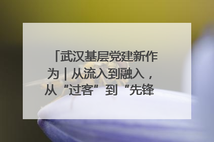 武汉基层党建新作为｜从流入到融入，从“过客”到“先锋” 武汉为流动党员筑起温暖之家