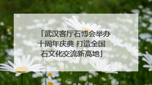 武汉客厅石博会举办十周年庆典 打造全国石文化交流新高地