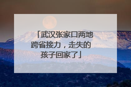 武汉张家口两地跨省接力，走失的孩子回家了