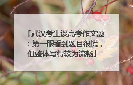 武汉考生谈高考作文题：第一眼看到题目很慌，但整体写得较为流畅