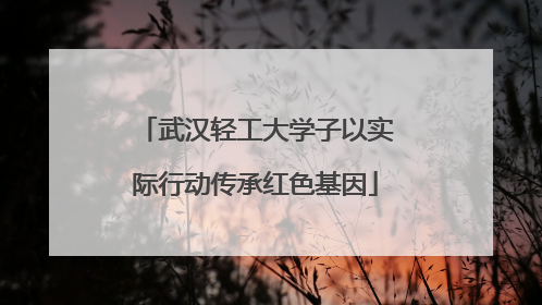 武汉轻工大学子以实际行动传承红色基因