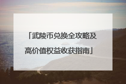 武陵币兑换全攻略及高价值权益收获指南
