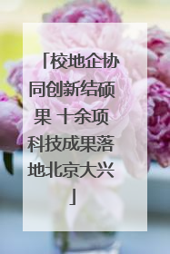 校地企协同创新结硕果 十余项科技成果落地北京大兴