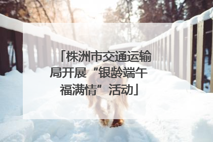 株洲市交通运输局开展“银龄端午福满情”活动