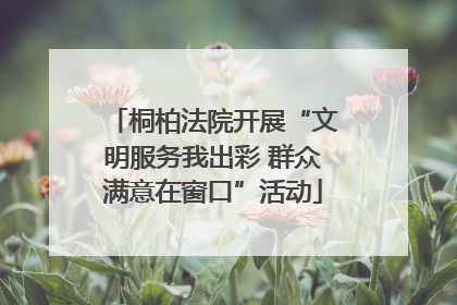 桐柏法院开展“文明服务我出彩 群众满意在窗口”活动