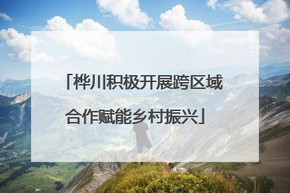 桦川积极开展跨区域合作赋能乡村振兴