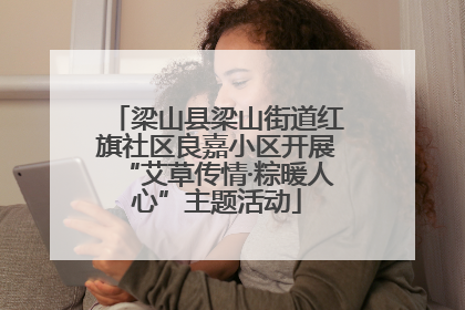 梁山县梁山街道红旗社区良嘉小区开展“艾草传情·粽暖人心”主题活动