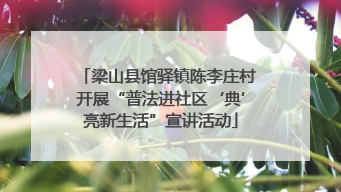 梁山县馆驿镇陈李庄村开展“普法进社区‘典’亮新生活”宣讲活动