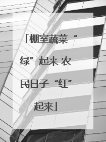 棚室蔬菜“绿”起来 农民日子“红”起来
