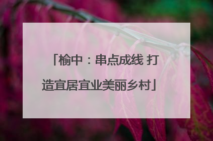 榆中：串点成线 打造宜居宜业美丽乡村