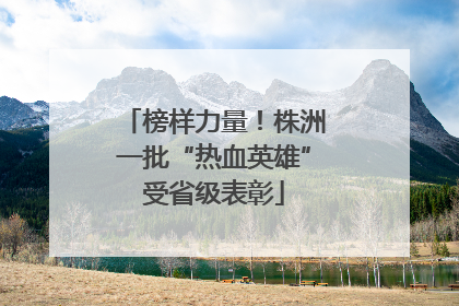 榜样力量！株洲一批“热血英雄”受省级表彰