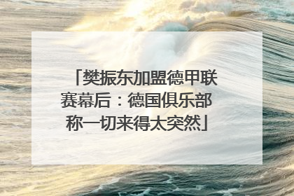樊振东加盟德甲联赛幕后：德国俱乐部称一切来得太突然