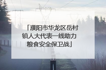 濮阳市华龙区岳村镇人大代表一线助力粮食安全保卫战