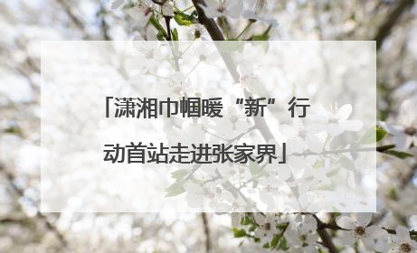 潇湘巾帼暖“新”行动首站走进张家界