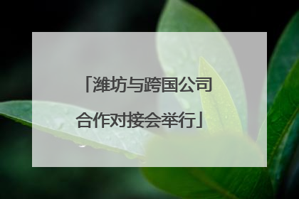 潍坊与跨国公司合作对接会举行