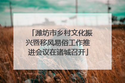 潍坊市乡村文化振兴暨移风易俗工作推进会议在诸城召开