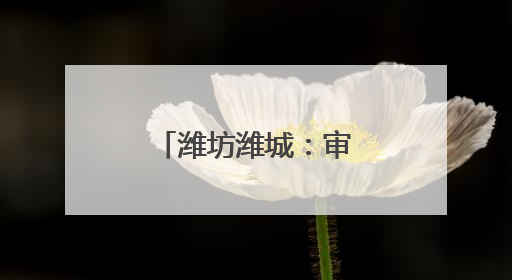 潍坊潍城：审计“利剑”护航高质量发展