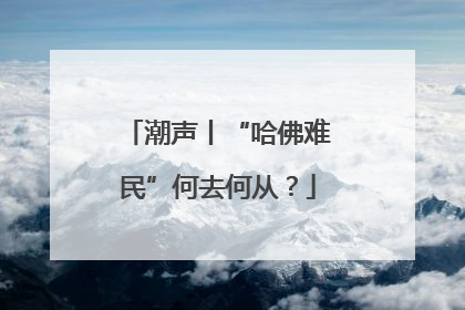 潮声丨“哈佛难民”何去何从？