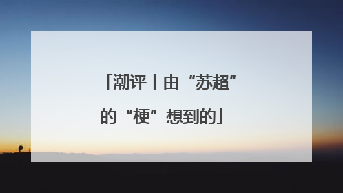 潮评丨由“苏超”的“梗”想到的