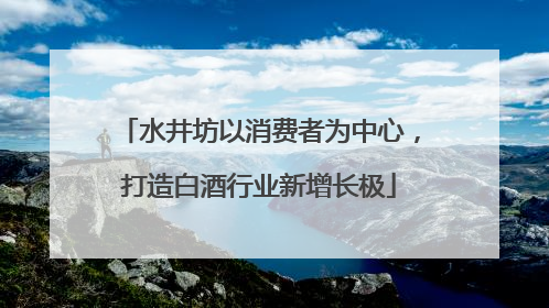 水井坊以消费者为中心，打造白酒行业新增长极
