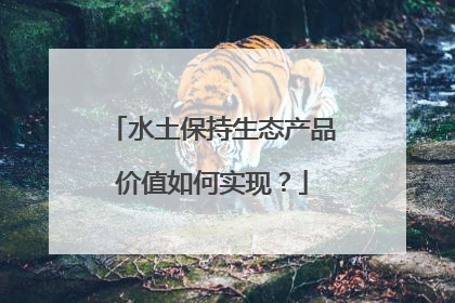 水土保持生态产品价值如何实现？