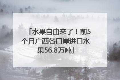 水果自由来了！前5个月广西各口岸进口水果56.8万吨