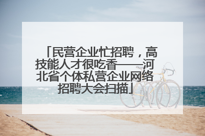 民营企业忙招聘，高技能人才很吃香——河北省个体私营企业网络招聘大会扫描