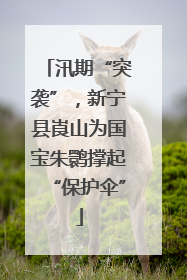 汛期“突袭”，新宁县崀山为国宝朱鹮撑起“保护伞”