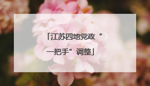 江苏四地党政“一把手”调整