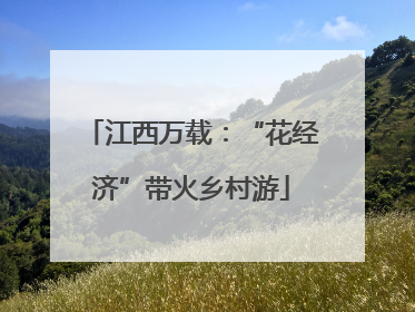 江西万载：“花经济”带火乡村游