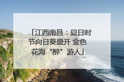 江西南昌：夏日时节向日葵盛开 金色花海“醉”游人