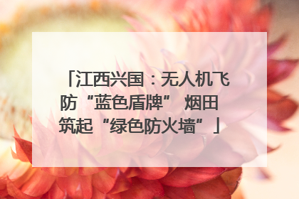 江西兴国：无人机飞防“蓝色盾牌” 烟田筑起“绿色防火墙”