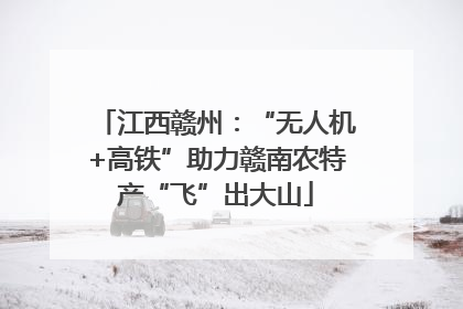 江西赣州：“无人机+高铁”助力赣南农特产“飞”出大山