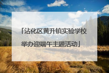 沾化区黄升镇实验学校举办迎端午主题活动