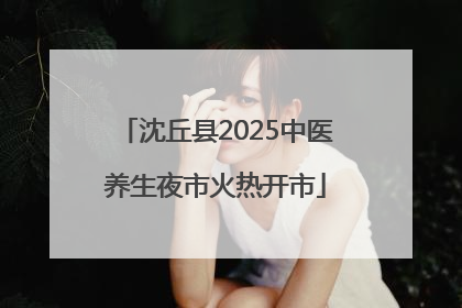 沈丘县2025中医养生夜市火热开市