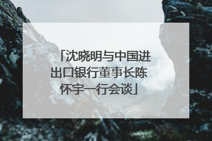 沈晓明与中国进出口银行董事长陈怀宇一行会谈