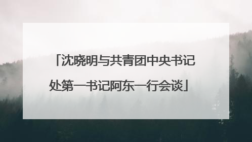沈晓明与共青团中央书记处第一书记阿东一行会谈